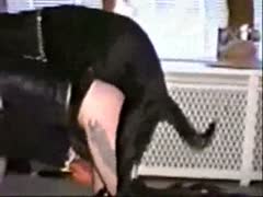 Exciting homemade xxx bestiality sex clip features bawdy housewife getting fucked by K9